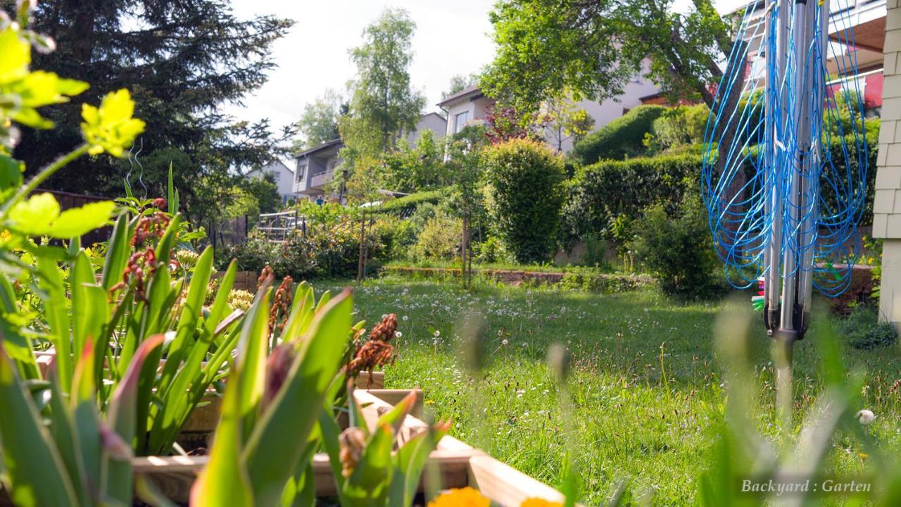 Entire House In Schwarzwald With Mountain View, Private Sauna, Gym, Garden And Terraces Unterkirnach Экстерьер фото