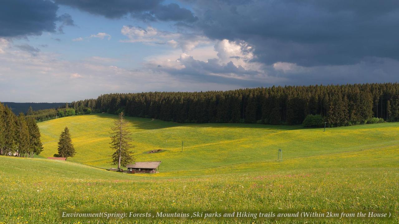 Entire House In Schwarzwald With Mountain View, Private Sauna, Gym, Garden And Terraces Unterkirnach Экстерьер фото