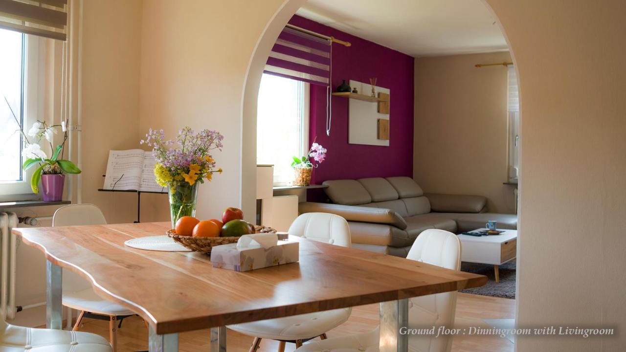 Entire House In Schwarzwald With Mountain View, Private Sauna, Gym, Garden And Terraces Unterkirnach Экстерьер фото