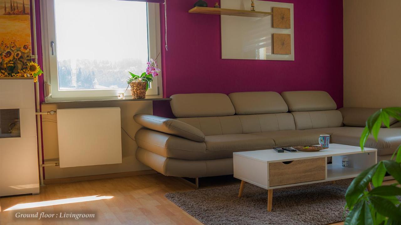 Entire House In Schwarzwald With Mountain View, Private Sauna, Gym, Garden And Terraces Unterkirnach Экстерьер фото
