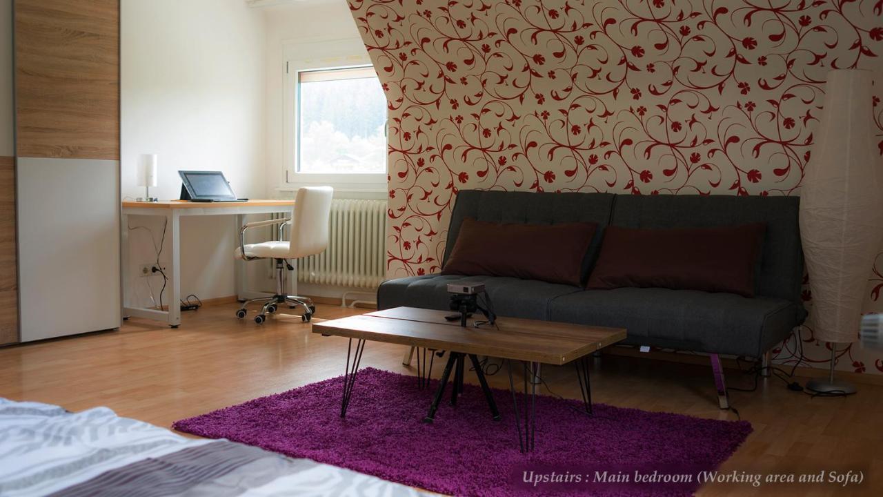 Entire House In Schwarzwald With Mountain View, Private Sauna, Gym, Garden And Terraces Unterkirnach Экстерьер фото