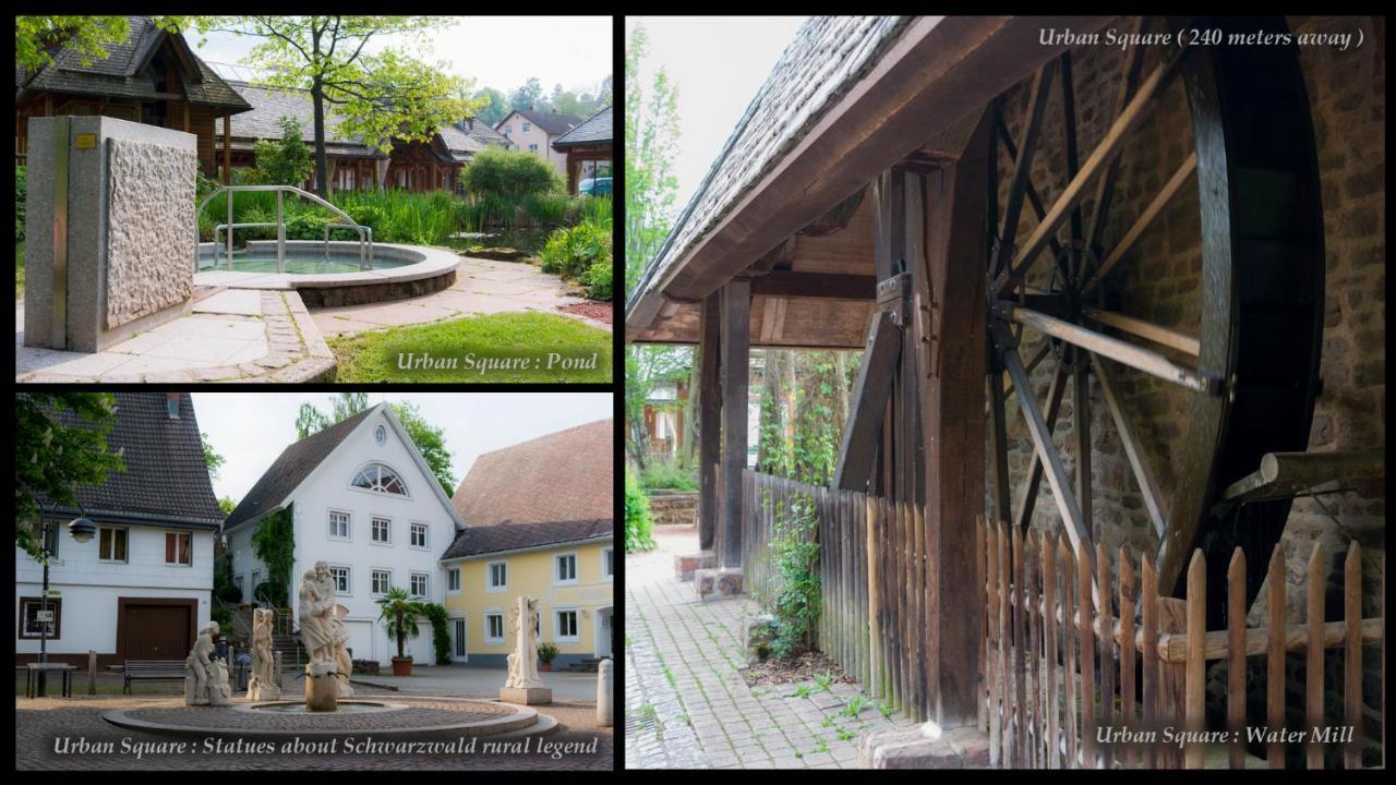 Entire House In Schwarzwald With Mountain View, Private Sauna, Gym, Garden And Terraces Unterkirnach Экстерьер фото