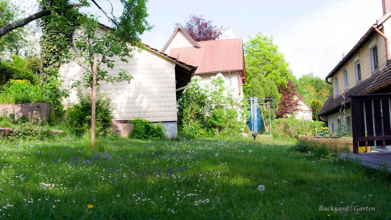 Entire House In Schwarzwald With Mountain View, Private Sauna, Gym, Garden And Terraces Unterkirnach Экстерьер фото